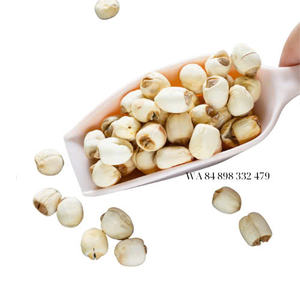 2024 VIETNAM Semillas de loto secas de alta calidad Puro y limpio para beneficios de salud Económico - Product Image 4