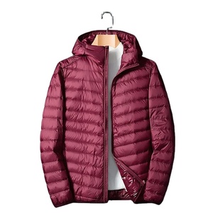 2025 Otoño Invierno chaqueta de plumón de pato blanco hombres peso ligero Cálido impermeable Casual al aire libre portátil abrigos acolchados masculinos - Product Image 5