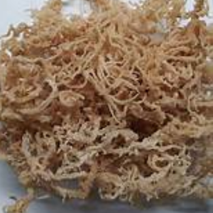 Mousse de mer séchée de haute qualité au meilleur prix avec emballage OEM du Vietnam - Product Image 6
