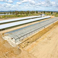 Hangar de poulet en acier modulaire portable assemblé rapidement pour la Ventilation temporaire des fermes tropicales de volaille poules pondeuses