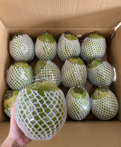 มะพร้าวน้ำหอมสดจากเวียดนาม รสหวานธรรมชาติ สำหรับตลาดต่างประเทศ - Product Image 3