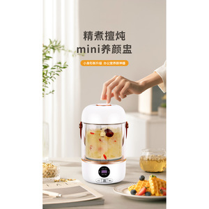 Marmite électrique multifonctionnelle en plastique de 500 ml pour la maison, idéale pour le thé et les ragoûts - Product Image 2