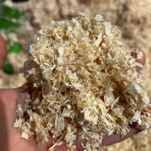 Virutas de madera como ropa de cama de aves de corral y animales, virutas de pino puro Precio competitivo de Vietnam - Product Image 1