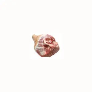 Wholesale High Quality Products Mussels Supply Poultry Meat Sale Pig for sale Frozen pork shoulder bone in rind on, no foot