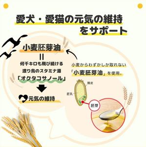 Calidad de confianza Earth Pet Staminol 50g Bola de pelo Cuidado Gato Pasta Suplemento DE SALUD Estimulación del apetito Productos de etiqueta privada - Product Image 3