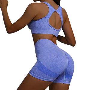 Conjunto de Yoga para mujer, conjunto de 2 piezas de talla grande, conjunto de Yoga de alta elasticidad, conjunto de ropa deportiva, transpirable, de secado rápido - Product Image 4