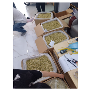 Bourgeons de jasmin séchés délicats sélectionnés pour un parfum durable, excellent pour mélanger le thé, les boissons ou les menus de spa - Product Image 4