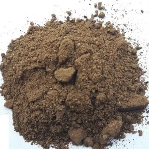 Farine de palmiste (PKC) de qualité supérieure allemande, nouvelle arrivée, qualité supérieure, aliment pour chevaux, bovins, porcs, 50 kg par sac, en vrac, frais et sec - Product Image 3