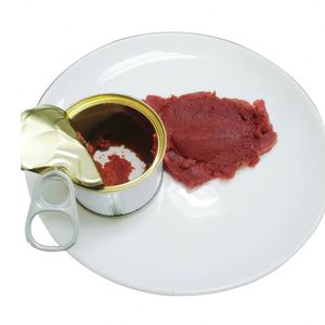 Chất lượng cao cà chua dán đặc điểm kỹ thuật cà chua dán dễ dàng mở cà chua dán - Product Image 2