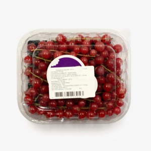 Groseilles fraîches biologiques en vrac riches en saveur naturelle et haute teneur nutritionnelle pour la vente en gros - Product Image 3