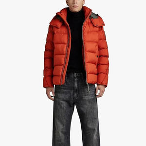 2025 nouvelle doudoune Lt, duvet de canard blanc de haute qualité léger moelleux chaud et confortable personnalisé en gros doudoune - Product Image 3