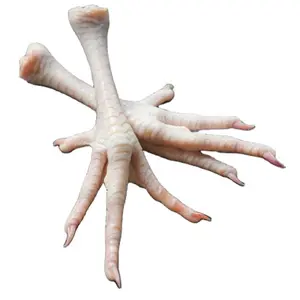 Wholesale Halal Chicken Feet / Frozen Chicken Paws Brazil / Fresh chicken Wings and feet and Paws Low Price