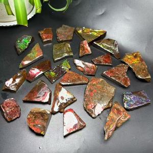 Fósil de Amonita Canadiense Real al por Mayor, Ammolita Cruda Colorida, Espécimen de Piedra Preciosa, Fósil de Vida Marina Antigua Natural de Canadá - Product Image 2