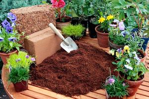 Eco-Friendly Natural Coco Coin Seedling Soil Block Hydroponics Peat Moss Pellet Coconut Coir for Plant Growing Brick Form - Product Image 4