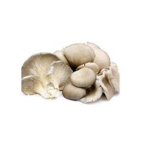 Haute qualité IQF vente en gros 1kg prix brut congelé frais blanc gris sauvage Ostreatus huître perle brun champignon Phoenix huître - Product Image 6