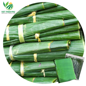 VIET THIEN PHU VTP/100% hojas de plátano frescas orgánicas naturales que envuelven alimentos congelados de alta calidad hojas de Banan Viet - Product Image 1