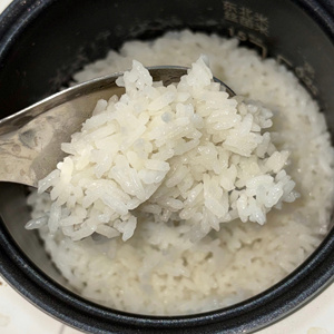 Arroz Calrose de Origen Vietnamita, Arroz Japonica Camolino de Grano Mediano para Exportación, Ideal para Cocinar Sushi y Cocina Isleña, Linda - Product Image 3