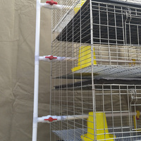 Cage de couveuse pour bébé poussin 3 ou 4 étages 2 portes 90 à 320 par cage utilisée pour l'élevage de petits poulets