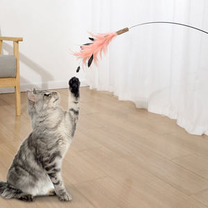 <b>Interactive</b> Eco-Friendly Educational Feather Wood Handle Scalable Lengthen Solid Cat <b>Toy</b> New Silvervine Cat Teaser Stick Smart - Product Image 5