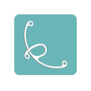 MARS INTERNATIONAL CATARACT & IOL SEGMENT DE SOUTIEN GUPTA SEGMENT FIXATION TEMPORAIRE OU PERMANENTE - Product Image 3