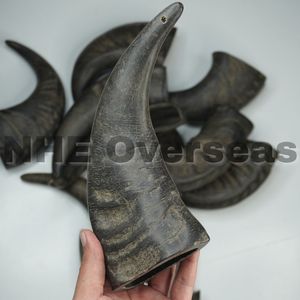 NHE-Cuerno de búfalo natural para masticar perros, golosinas duraderas para cachorros, perros adultos, promueve la salud de los dientes - Product Image 3