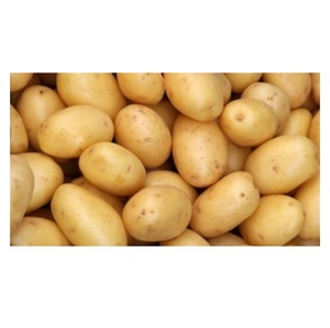 Fournisseur en gros de pommes de terre fraîches de qualité naturelle, en vrac, prêtes à l'exportation - Product Image 1