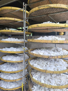 Viande de noix de coco séchée du Vietnam, tranches de noix de coco séchées, texture tendre, vente en gros pour les industries de la transformation alimentaire, commandes en gros ouvertes - Product Image 2