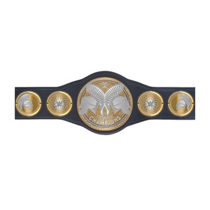 REPLICA/CUSTOMIZED CHAMPIONSHIP BELT - Product Image 6