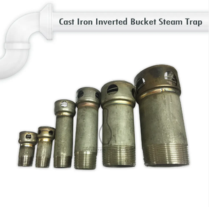 Purgeurs de vapeur industriels de seau inversé en fonte modèle DSC robuste - Product Image 6