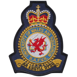 Patchs tactiques sur mesure de haute qualité insignes d'aile brodés à la main pour blazer uniforme badges de rang en tissu à coudre - Product Image 1