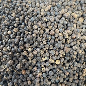 Poivre noir entier FAQ 450 500 Herb Spice Prix pas cher avec la meilleure qualité M. Thomas Nguyen WS 84 789896886 - Product Image 1