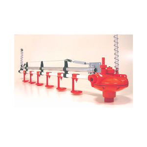 Système de ligne automatique d'alimentation et d'abreuvement livraison rapide plastique pour poulet volaille équipement d'élevage fabricant du Vietnam - Product Image 5