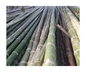 Poteau de canne en bambou écologique en gros matériau naturel de haute qualité Vietnam usine fournisseur direct prêt pour l'exportation - Product Image 1