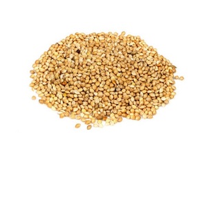 Yellow Non-Glutinous Dried Broomcorn <b>Millet</b> for Bird Feed Thailand Origin OEM Available Wholesale - Product Image 1