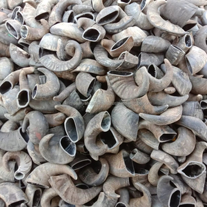 Cuerno de búfalo de alta calidad, cuerno para masticar perros y comida para perros, cuerno para masticar de búfalo genuino con tamaño personalizado al precio más bajo - Product Image 1