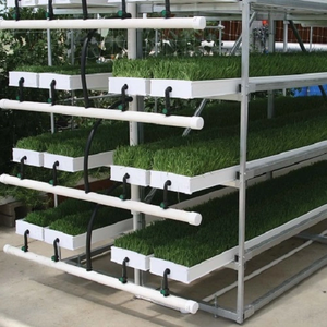 ONEone Barley Green Forage Fodder Grow Trays Hydroponic Fodder System - Product Image 2