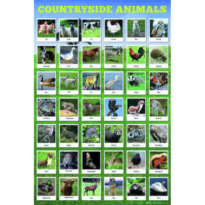 Póster de especies animales nativas para decoración de pared - Product Image 3