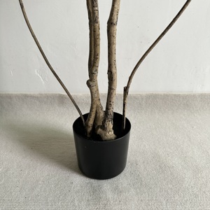 ต้นดราซีน่าประดิษฐ์-วัสดุ PE ทันสมัย สำหรับตกแต่งภายใน/ภายนอกอาคาร ใบเรียว ขนาด 120/150/180 ซม. (มีจำหน่ายขนาด 210 ซม.) - Product Image 3