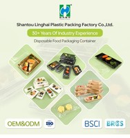 Ecologisch verantwoorde PET transparante clamshell doos voor fruitverpakkingen, aanpasbare bedrukking, voedselveilige vierkante wegwerpverpakking