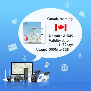 Kanada perangkat dapat dipakai prabayar 2GB 500MB untuk ponsel kartu Sim ponsel LTE 4G GSM M2M untuk iphone 13