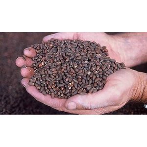 Vente chaude de graines de coton biologique au prix de gros de produits agricoles - Product Image 6