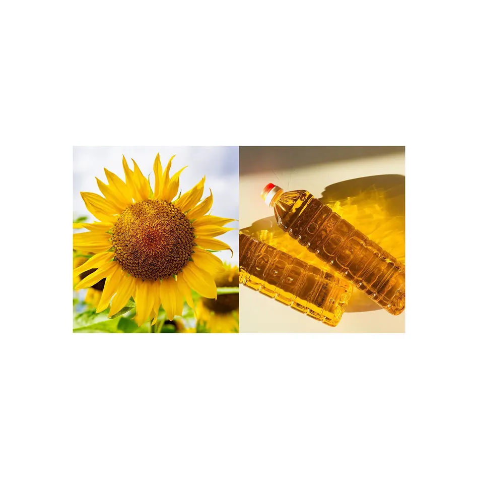 100% Refined 5L Cooking Oil Sunflower Oil For Food