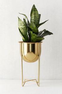 Elegante maceta para flores, soporte para plantas inspirado en la decoración excepcional de estilo de mediados de siglo, estante de almacenamiento, jardineras de jardín - Product Image 6