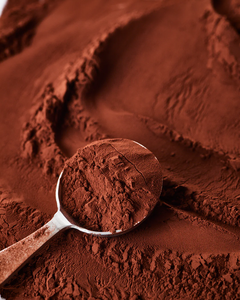 Fabricant de poudre de cacao du Vietnam, qualité supérieure, vente en gros - Product Image 5