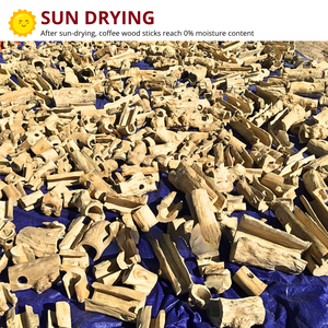 Vietnam Eco-Friendly Coffee <b>Wood</b> Reptile Hideout Cave with Rectangle Shape and Factory Price - Product Image 5