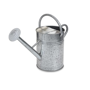 Fabricant indien d'arrosoir en métal en fer Design personnalisé fournisseur d'arrosoir de plantes vertes à bas prix - Product Image 1