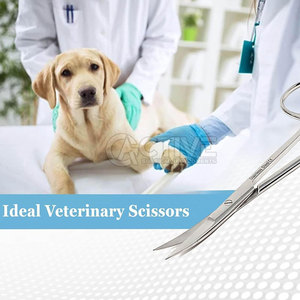 Tijeras profesionales de IRIS de acero inoxidable Instrumentos quirúrgicos oftálmicos Tijeras oftálmicas duraderas de IRIS CE - Product Image 3