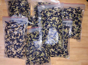 ชาสมุนไพรผลิตจากธรรมชาติส่งออกใน2024ดอกถั่วใช้ทำชาและใช้อื่นๆอีกมากมาย - Product Image 4