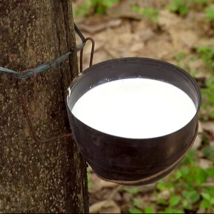 Top Selling High Quality 60 DRC Nitrile Latex Natural <b>Rubber</b> Centrifuged Latex <b>Rubber</b> Product - Product Image 1