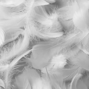 Plumes de canard teintes de qualité export pour la fabrication de bijoux pour costumes de carnaval Fournitures d'artisanat - Product Image 1
